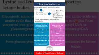 Ketogenic Amino acids  Biochemistry  by Imran Yaseen [upl. by Hillegass]