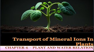 Transport of Mineral ions In plants  Chapter 6 Plant and Water Relation State Board NEET [upl. by Efron]