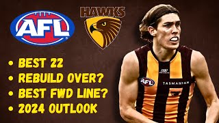 Analysing the Hawthorn Hawks for AFL 2024 [upl. by Aneehsal]