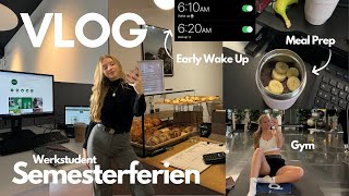 Vlog  6am morning routine  Semesterferien  werkstudent  worklife balance [upl. by Adnahsal20]