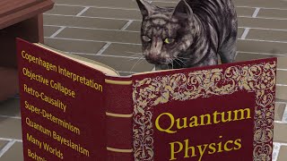 Quantum Physics – list of Philosophical Interpretations [upl. by Aizahs]