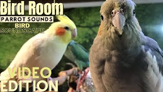 Bird Room Buddies  Happy Parrot Sounds  HD Parrot TV VIDEO EDITION  3 Hours  Bird Room TV [upl. by Adama]