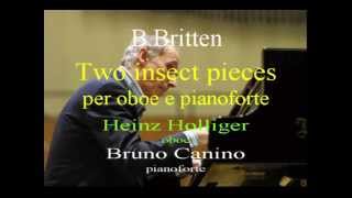 BBritten  Two Insect pieces [upl. by Annaeel]