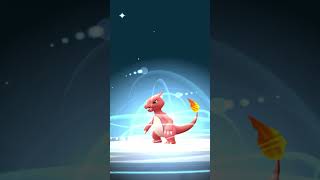 Evolving DYNAMAX CHARMANDER ➡️ CHARMELEON ➡️ CHARIZARD [upl. by Abbotsun]