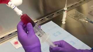 Embozene Tandem Microspheres in 100mg of Doxorubicin Loading Step 1 [upl. by Olmstead96]