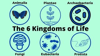 Basic Taxonomy6 Kingdoms of LifeClassification [upl. by Ahsillek]