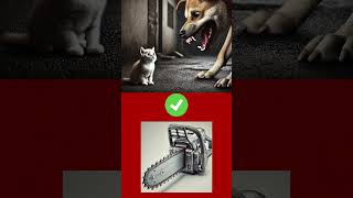 CHOOSE CORRECTLY SAVE THE PUPPY PRINCESS kids quiz puppy princess superhero [upl. by Gearhart212]