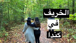 فلوق ليوم كامل  اقضو يومكم معي 🍂VLOG2 [upl. by Tak]