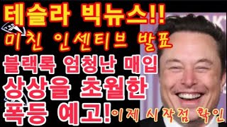 테슬라 빅뉴스  Tesla 미친 인센티브 발표  TSLA 멈추지 않는 급등  BTC 포뮬선 폭등 예고 이제 시작점 확인  블랙록 엄청난 기록적인 매입  비트코인 [upl. by Nivart]