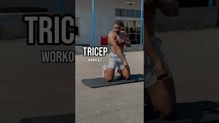 TRICEP WORKOUT no equipment needed [upl. by Owades]