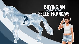 Buying a SELLE FRANÇAIS  Star Stable  Mane styles and animations  Lara Turtlepaw [upl. by Feledy749]