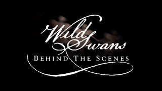 Meryl Tankard WILD SWANS doco trailer [upl. by Barney739]