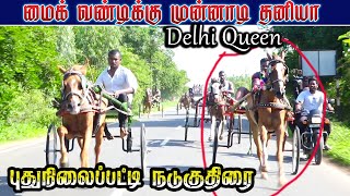 3புதுக்கோட்டை புதுநிலைப்பட்டி 10ஆயிரம் குதிரை 10072024kskhorserace [upl. by Gainor]