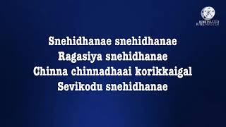 Snehithane Snehithane song lyrics song by Sadhana Sargam and Srinivas [upl. by Yesnnyl]