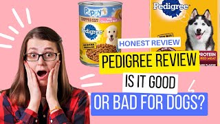 The Pedigree Dog Food Review Is It Good Or Bad For Dogs [upl. by Zerelda]