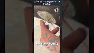 ASMR Smooth Ergot Trim and Shaping🪄 wood horsecare horse shorts youtubeshorts satisfying [upl. by Germin]