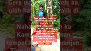 Pepeling kango urang sunda fyp sorotan music alam [upl. by Hallsy]