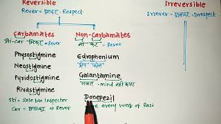 Cholinergic Drugs Classification Trick  Pharmacology  Vikas Bopinwar [upl. by Nerual]