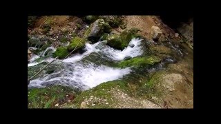 Falkensteiner Höhle bei Hochwasser [upl. by Camus]