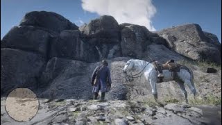 Red Dead Redemption 2  Rock Carving 6 Location  Rock Carving Coordinates 6 [upl. by Wandie]