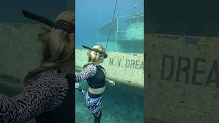 NEW SHIPWRECK 🛥️ dreamchaser mv short shorts video viral barbados hurricane damage boat [upl. by Verity530]