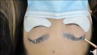 RefectoCil HowTo Brow Lamination amp Brow Tint [upl. by Kynthia894]