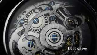 DAVOSA Classic Skeleton Automatic Dolinskipl [upl. by Oramug]