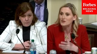 Laurel Lee Asks Official How Congress amp DHS Can Collaborate On Building Domestic Infrastructure [upl. by Kenneth346]