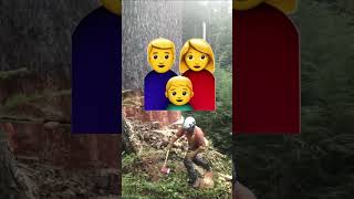 Falling Tree😨 viralvideo [upl. by Anileda43]