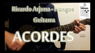 Ricardo Arjona  Hongos  Guitarra ACORDES Cover Tutorial [upl. by Oleusnoc]