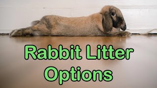 Rabbit Litter Options and what I use [upl. by Olegnad]