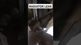 RADIATOR LEAKLIFE OF TRUCKING [upl. by Namaj]