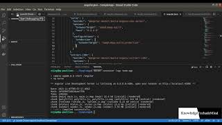 debug dockerized angular application in visual studio code [upl. by Airec]