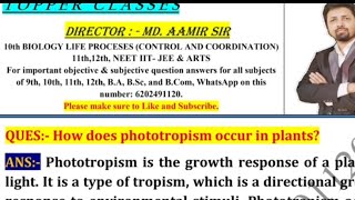 How does phototropism occur in plants [upl. by Acirred]