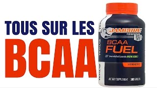 BCAA  COMBIEN  QUAND  RATIO  AVEC QUOI  DOSAGE PRO [upl. by Dempstor541]