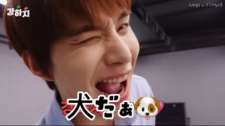 【NCT127】吾輩は犬🐶️中本ジョンウver [upl. by Aruabea]