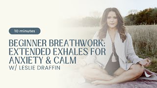 10min Beginner Breathwork for Anxiety [upl. by Hallerson127]