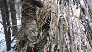 Building a Wickiup Shelter Day 3 [upl. by Romona]