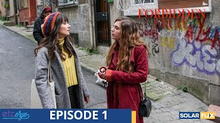 Forbidden Fruit Episode 1  FULL EPISODE  TAGALOG DUB  Turkish Drama [upl. by Ecnatsnoc]