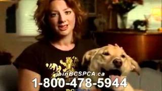 An ASPCA Commercial Airs While I Play Unfitting Music [upl. by Lole286]