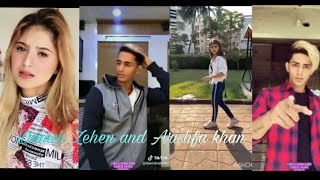 Danish Zehen and Arishfa khan tik tok video Attitude Romentic and Love video  Miss you bro [upl. by Raknahs767]