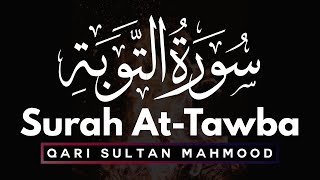 Surah At Tawbah Verse100 Arabic Text with Urdu amp English Translation Qari Sultan Mahmood  IIRCTV [upl. by Anuala]