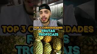 FRUTAS TROPICAIS  TOP 3 CURIOSIDADES [upl. by Aissak]