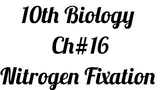 Nitrogen Cycle Nitrogen FixationCh1610th Biology [upl. by Saenihp]