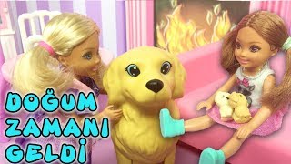 Barbie ve Ailesi Bölüm 158  Köpeğimiz Tuffy Doğum Yapıyor  Çizgi film tadında Barbie Oyunları [upl. by Rhynd]