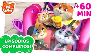 44 Gatos  60 MINUTOS de episódios completos [upl. by Alliuqaj]