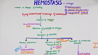 Hemostasis  Easy Flowchart  Physiology [upl. by Bacon688]