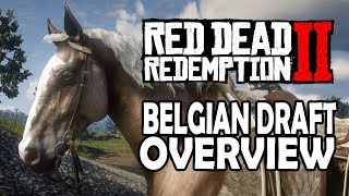 Red Dead Redemption 2 Horses  Belgian Draft Overview [upl. by Nathaniel]