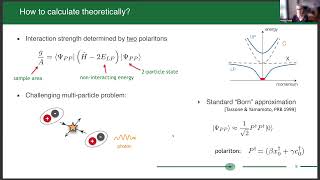 Lightmatter coupled quantum systems in flatland Meera Parish [upl. by Genni302]