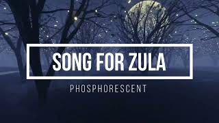 Phosphorescent  Song for Zula LYRICS VIDEO [upl. by Eiten]